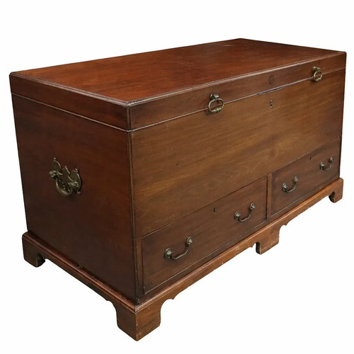 Antique mahogany english trunk - antique,